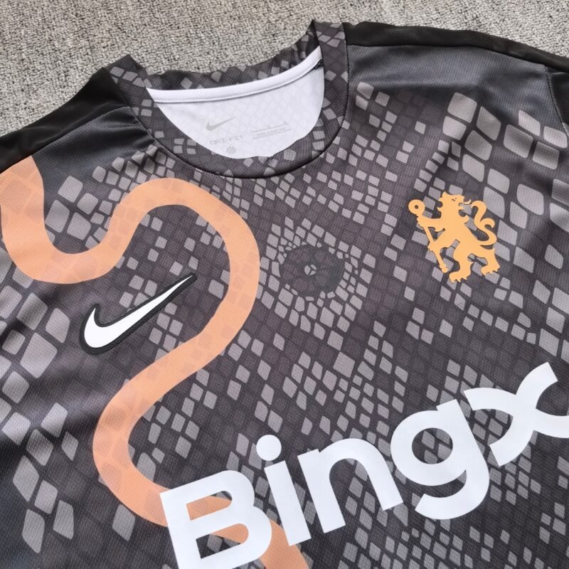 25 26 Chelsea Special Edition jerseys - Image 3